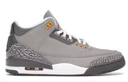 Jordan 3 Retro Cool Grey (2021)