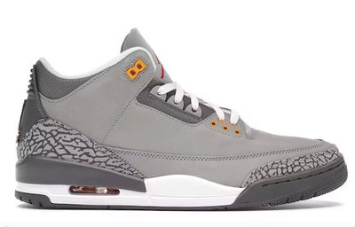 Jordan 3 Retro Cool Grey (2021)